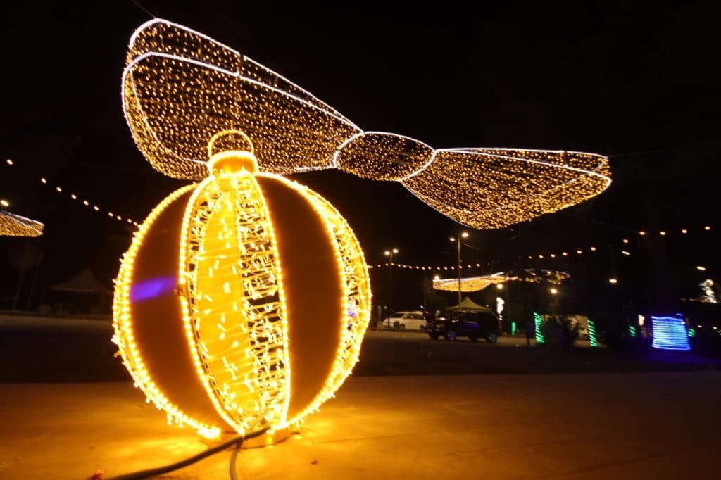 ჩხოროწყუ ახალი წლის მოლოდინში - image 2