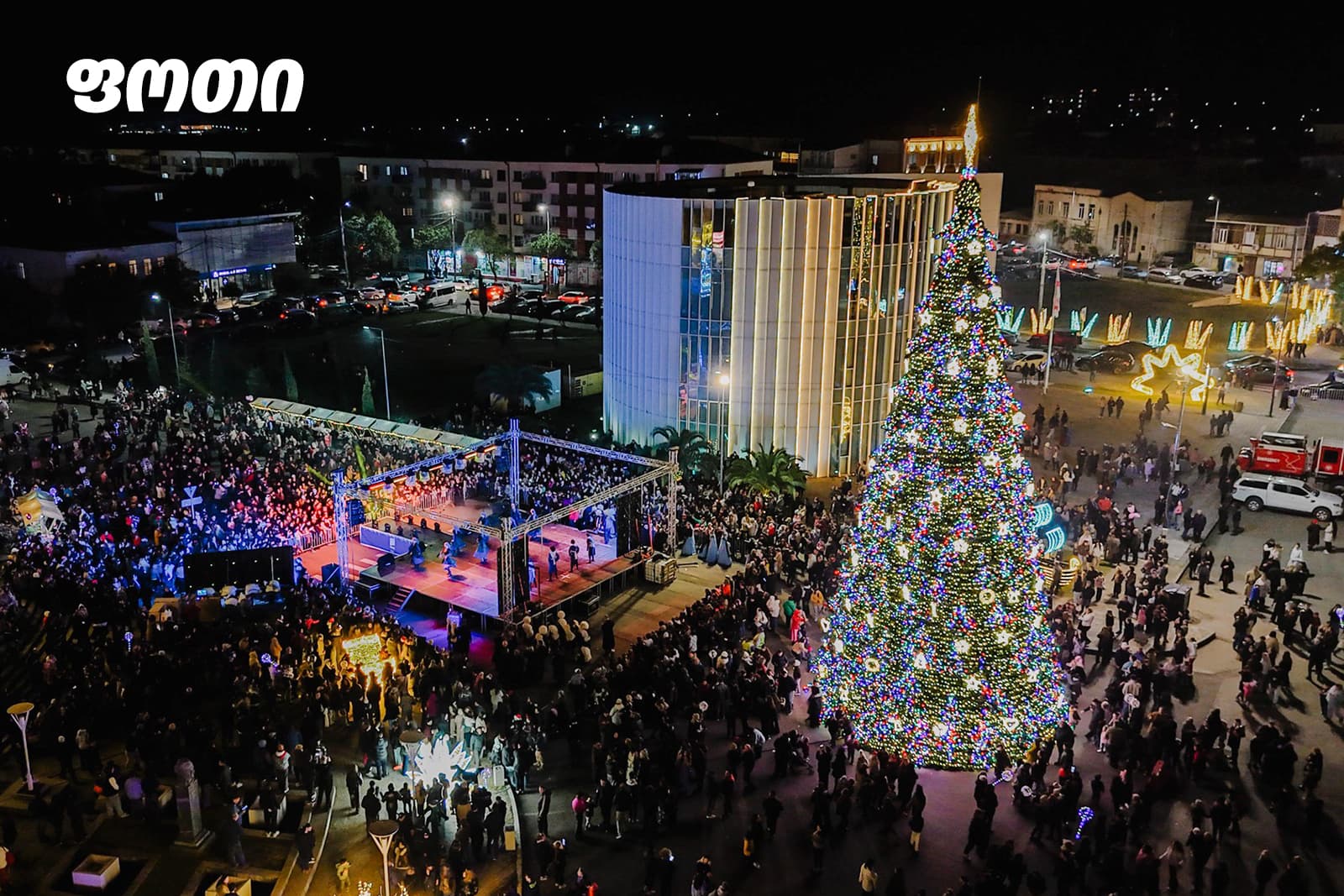 ნაძვის ხეები სამეგრელო-ზემო სვანეთის მხარეში - image 7