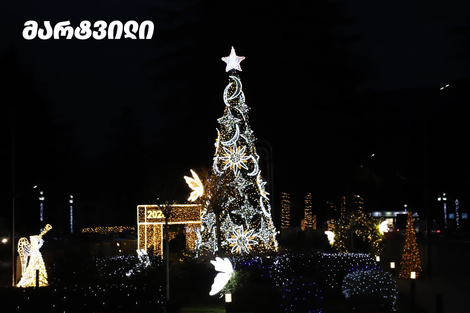 ნაძვის ხეები სამეგრელო-ზემო სვანეთის მხარეში - image 4