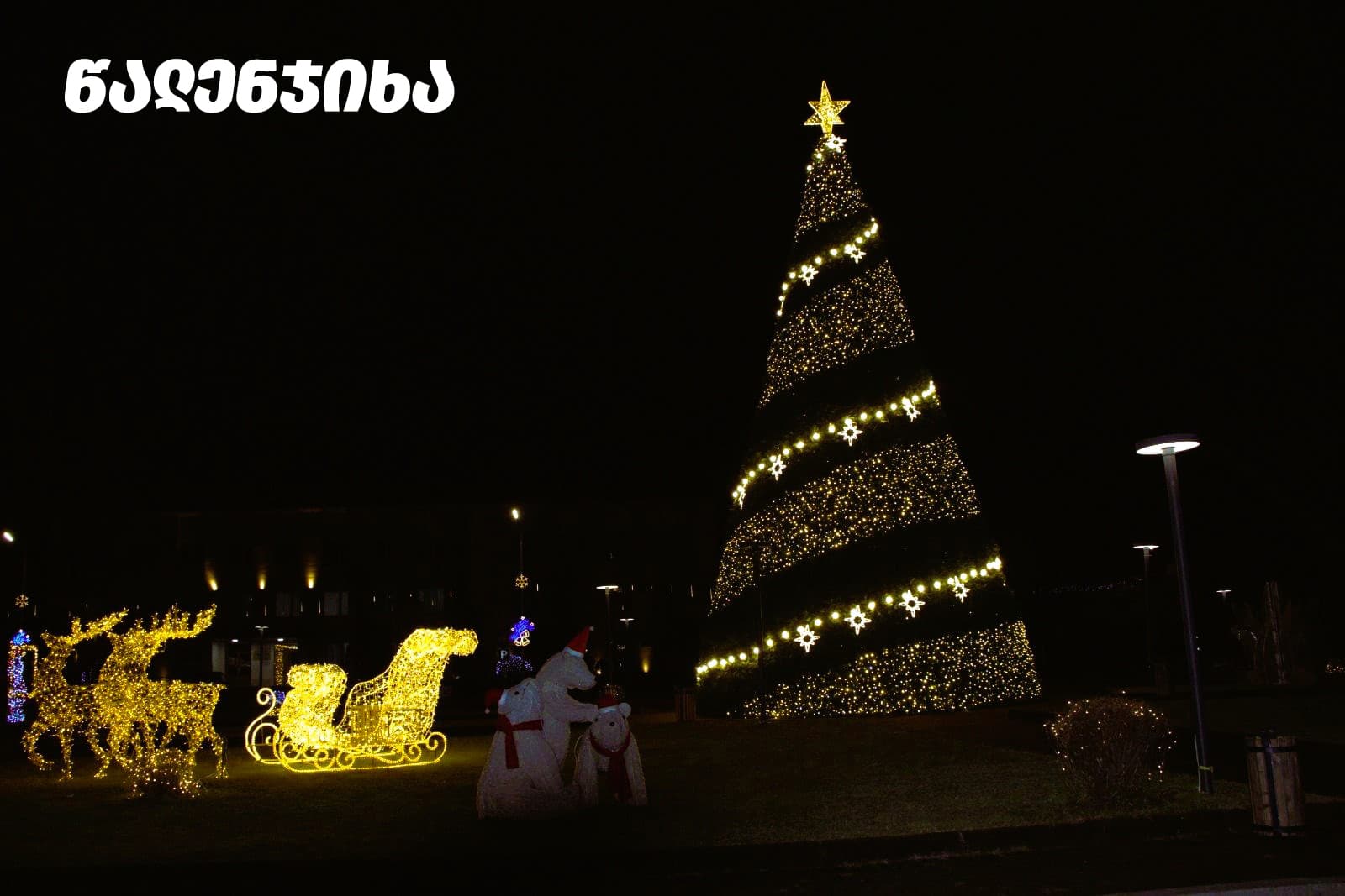 ნაძვის ხეები სამეგრელო-ზემო სვანეთის მხარეში - image 9