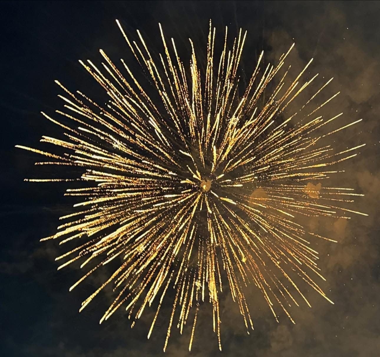 მესტიაში წინასაახალწლო ღონისძიება გაიმართა - image 3