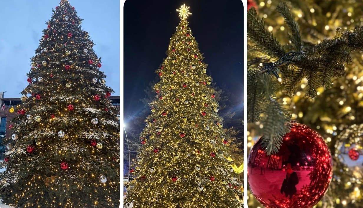 ახალი ნაძვის ხე მესტიაში