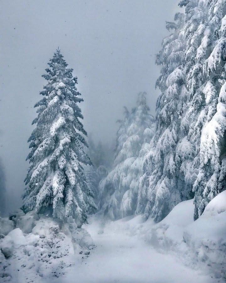 კურორტი ლებარდე დღეს