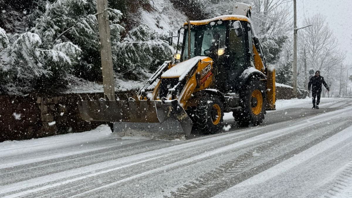 წალენჯიხაში თოვლისგან გზები იწმინდება - image 2