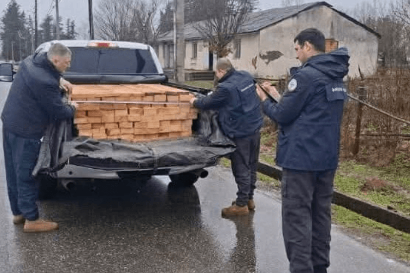 გარემოსდაცვითი ზედამხედველობის დეპარტამენტმა სვანეთიდან ხე-ტყის უკანონო ტრანსპორტირების ფაქტები გამოავლინა