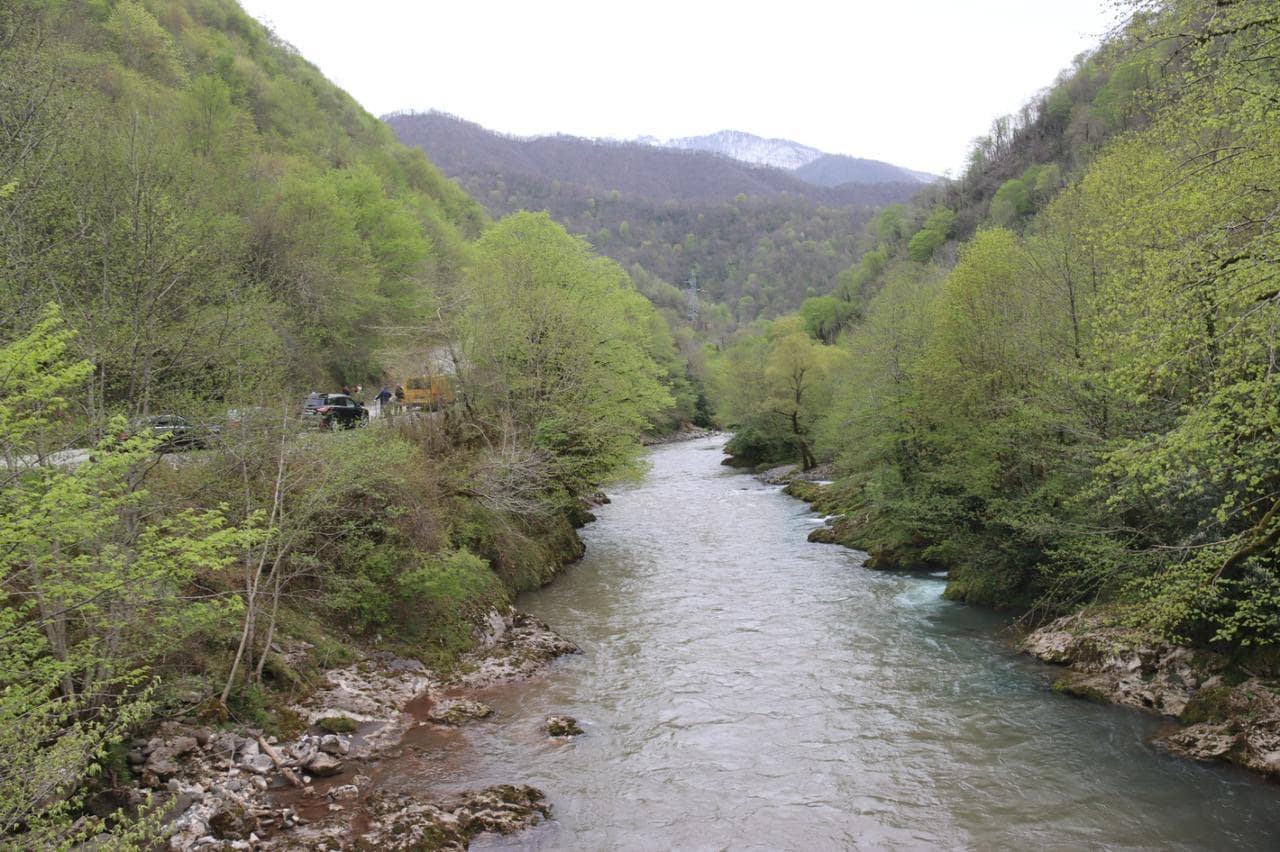 მერის ინიციატივით ჩხოროწყუში ტურისტული ლოკაციები დასუფთავდა - image 5