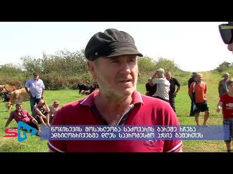 ეკონომიკის სამინისტრომ სოფლის საძოვრები გაასხვისა -საპროტესტო აქცია ნოჯიხევში