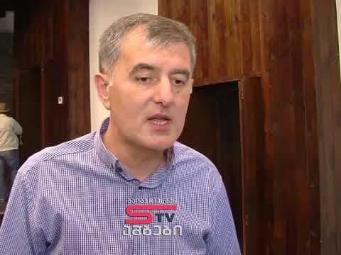 მესტიის გენერალური განვითარების გეგმის დოკუმენტზე საჯარო განხილვები დაიწყო [ვიდეო]