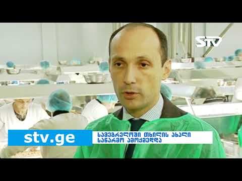სამეგრელოში თხილის გადამმუშავებელი ახალი საწარმო ამოქმედდა