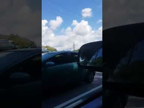 ურეკთან, ცენტრალურ მაგისტრალზე საქონლით დატვირთული ტრაილერი გადაბრუნდა