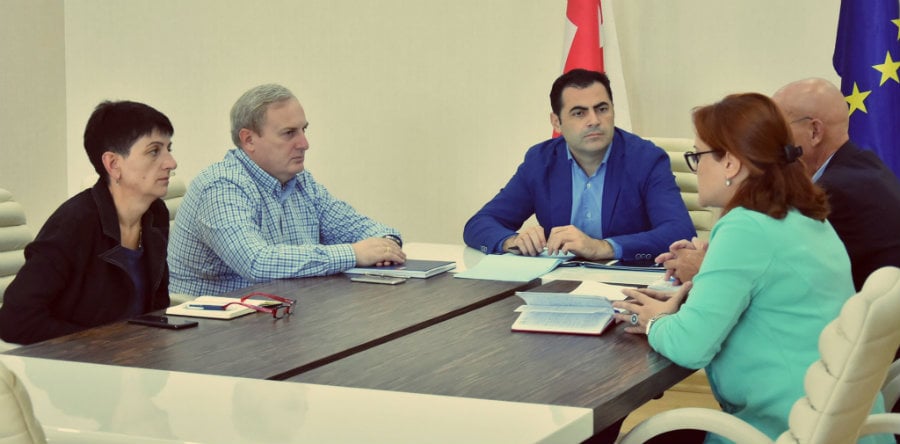 ალექსანდრე მოწერელია ევროკავშირის სადამკვირვებლო მისიის წარმომადგენელს შეხვდა