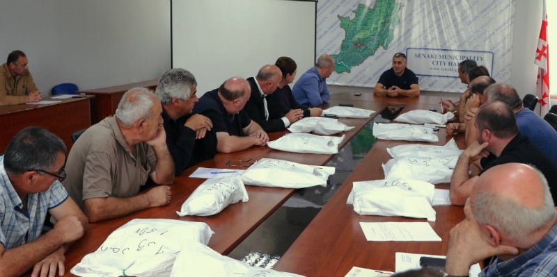 სენაკში, აზიურ ფაროსანასთან ბრძოლის მეორე ეტაპი იწყება