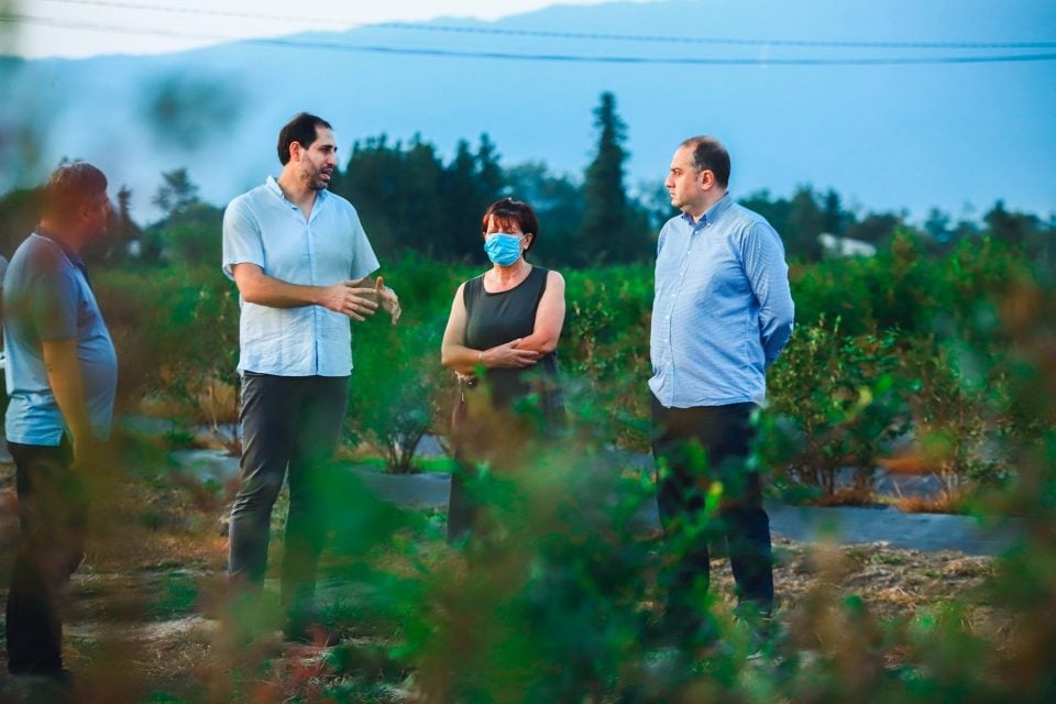 ირაკლი ჩიქოვანი: მნიშვნელოვანია, რომ ნახევარ ჰექტარამდე ფართობზე მოცვის გაშენებას სახელმწიფო სრულად აფინანსებს