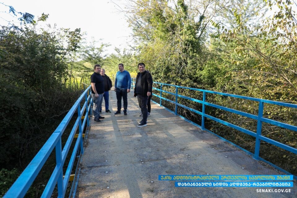 სენაკის მერი ეკში განხორციელებულ პროექტებს გაეცნო