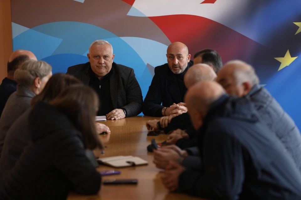 დავით ვერავა მუნიციპალიტეტებში შეხვედრებს მართავს