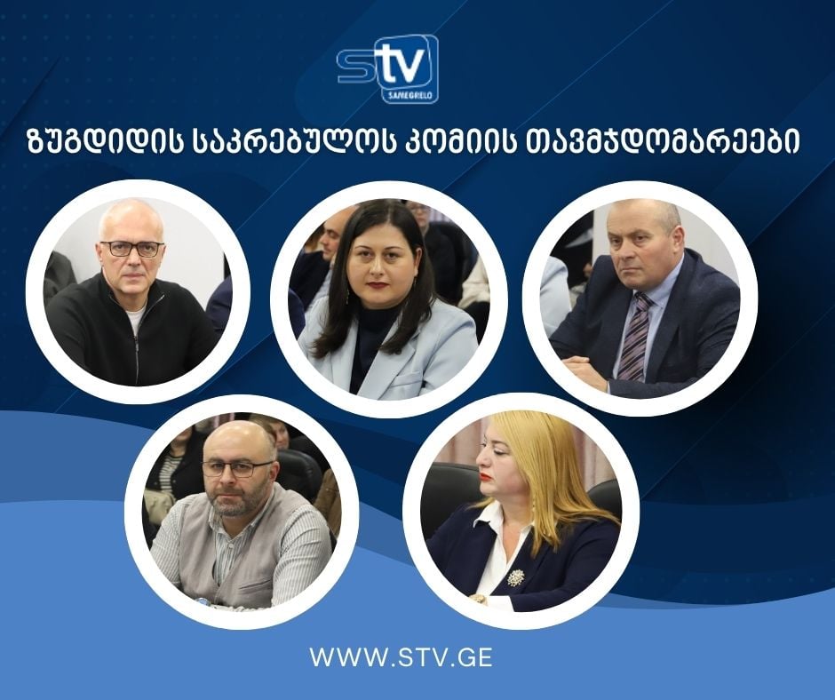ზუგდიდის საკრებულოში კომისიების თავმჯდომარეები აირჩიეს