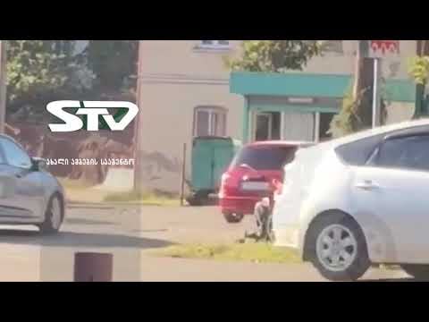 მოხუც ქალბატონს და შშმ პირს მძღოლები გზას არ უთმობენ [ვიდეო]