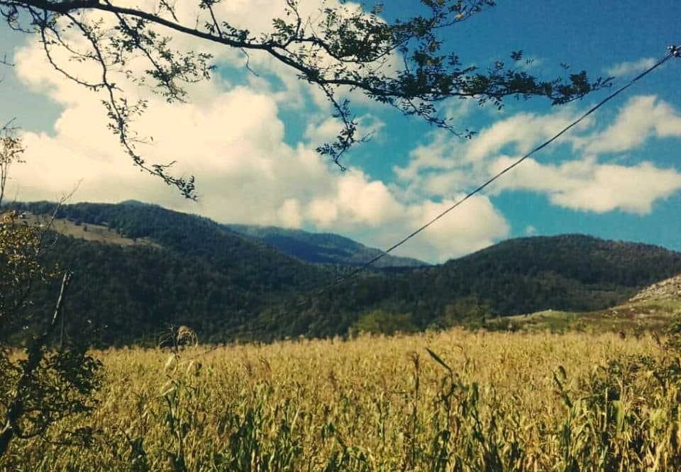 რუსმა ოკუპანტებმა სოფელ მუჟავადან სავარაუდოდ, სამი მოქალაქე გაიტაცეს