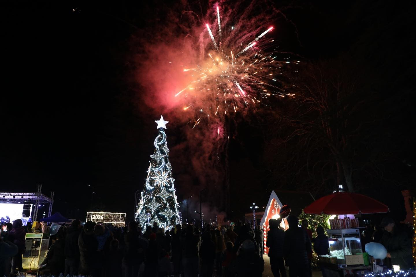 როგორ გამოიყურება მარტვილის ნაძვის ხე