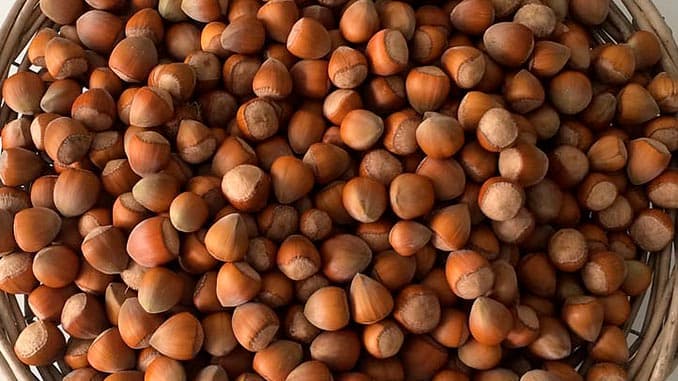 თხილის ექსპორტით მიღებული შემოსავალი, წინა წლის ანალოგიურ პერიოდთან შედარებით, 71%-ით გაიზარდა