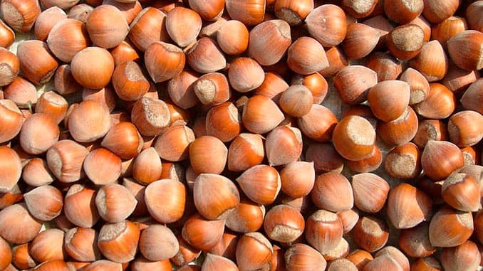 GCCA: თხილის ბაზარზე არ იკვეთება კონკურენციის კანონმდებლობის დარღვევის რისკები