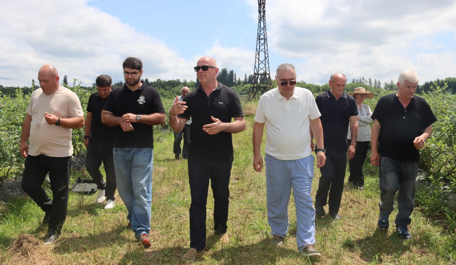 ჩხოროწყუს მერი ჯუმბერ იზორია სოფელ ზუმსა და ლესიჭინეში ლურჯი მოცვის მოსავლის აღების პროცესს გაეცნო
