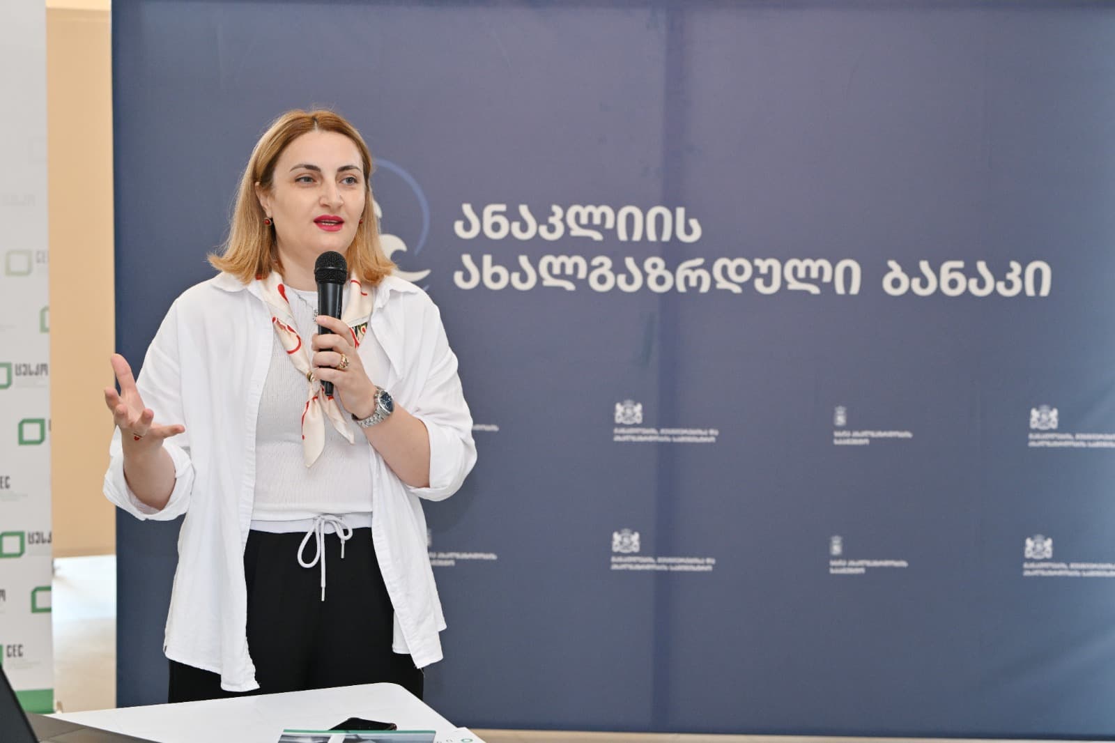 ფოთის საოლქო საარჩევნო კომისიის შეხვედრა ანაკლიის ახალგაზრდულიბანაკის მონაწილეებთან